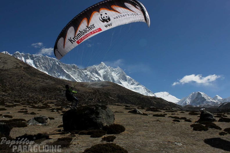 Papillon Himalaya Everest AF-962
