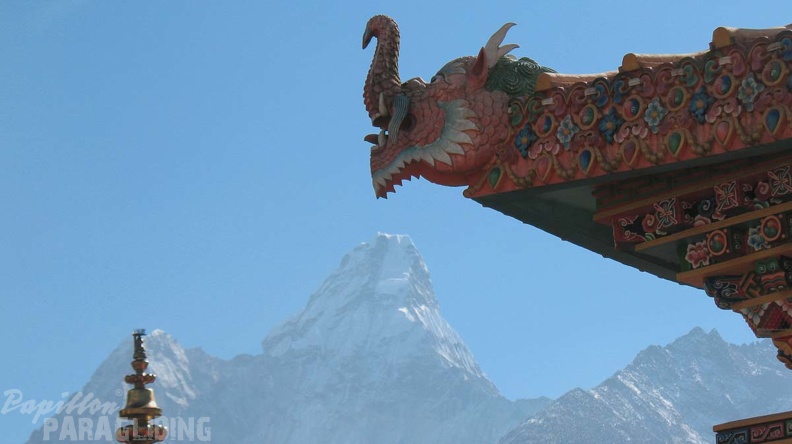 Papillon_Himalaya_Everest_VS-352.jpg