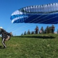 DH17 15 Luesen-Paragliding-1183