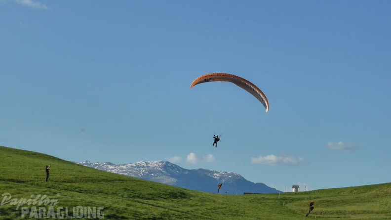 DH17_15_Luesen-Paragliding-1360.jpg