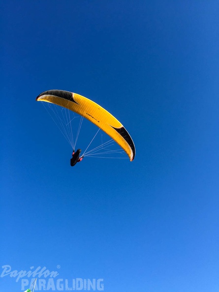 DH17_15_Luesen-Paragliding-144.jpg
