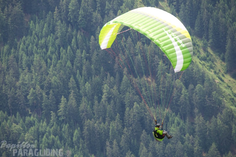 Luesen Paragliding DH25 15-1001