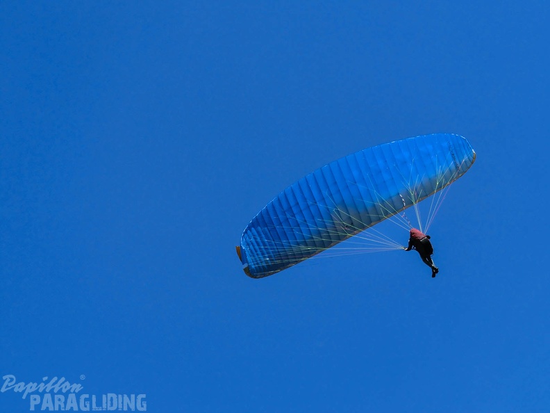 Luesen Paragliding-DH27 15-142