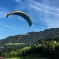 Luesen Paragliding-DH27 15-547