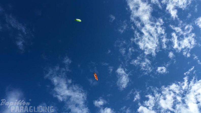 Luesen DT34.15 Paragliding-2024