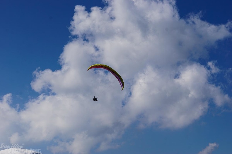 DH19.16-Luesen-Paragliding-272.jpg