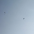 DH25.16-Luesen-Paragliding-1007