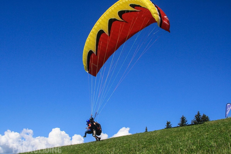 DH35.16-Luesen_Paragliding-1105.jpg