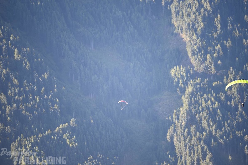 DH35.16-Luesen_Paragliding-1217.jpg