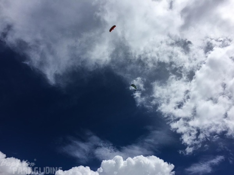 DT24.16-Paragliding-Luesen-1085.jpg