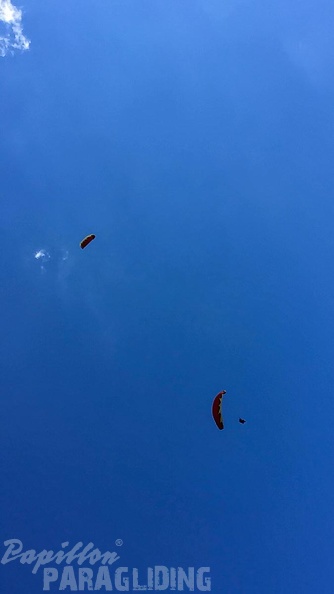 DT24.16-Paragliding-Luesen-1364