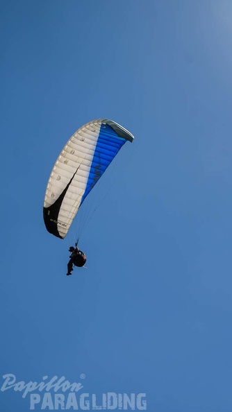 DH27.17 Luesen-Paragliding-163