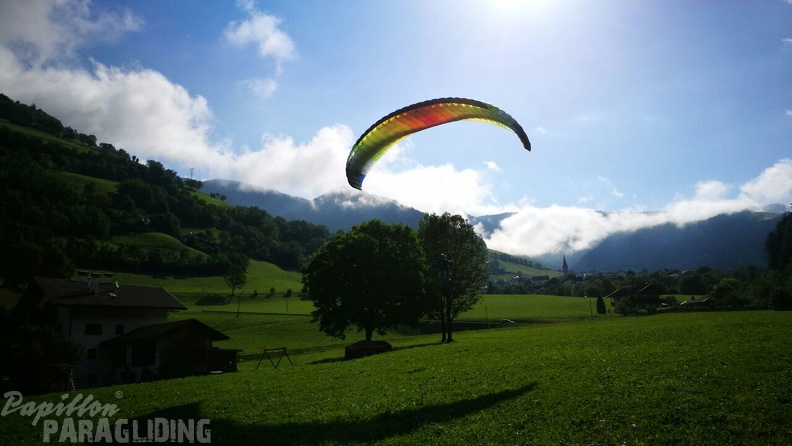 Papillon_Paragliding-Luesen_DH27.179.jpeg