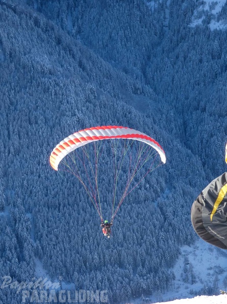 DH1.18_Luesen-Paragliding-509.jpg
