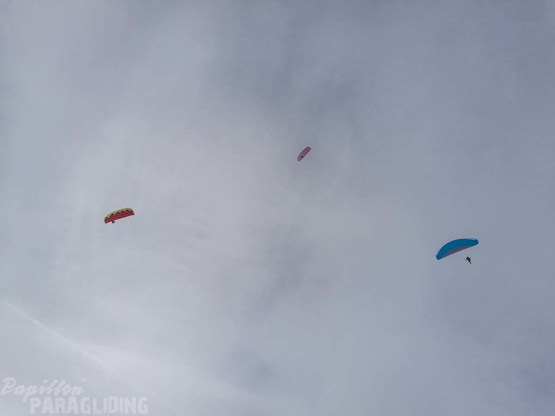 DH1.18_Luesen-Paragliding-628.jpg