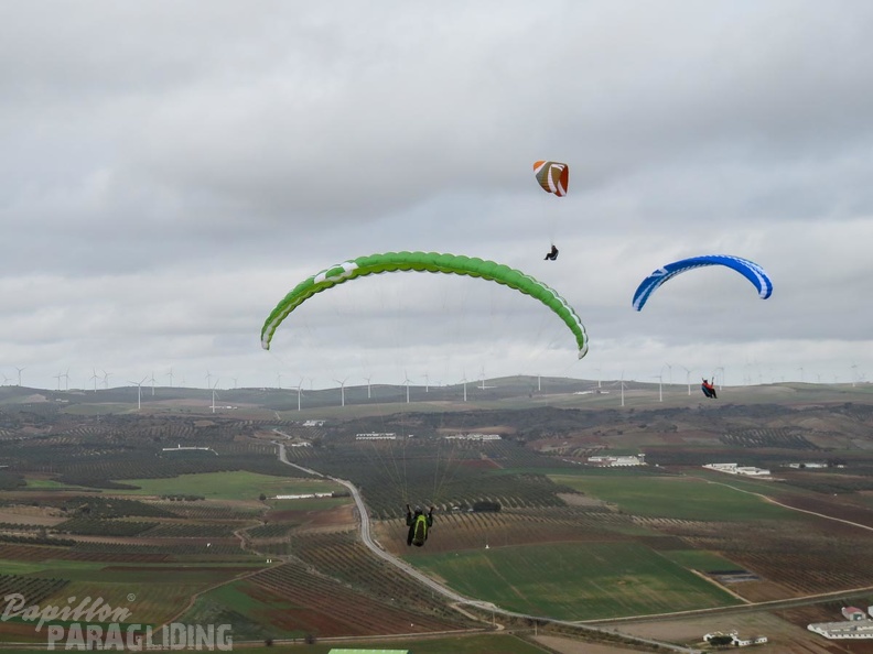 FA53.15-Algodonales-Paragliding-310