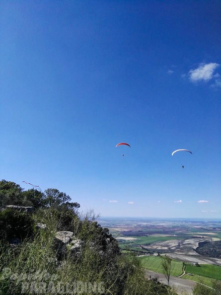 FA14.16-Algodonales-Paragliding-154