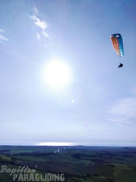 FA14.16-Algodonales-Paragliding-195