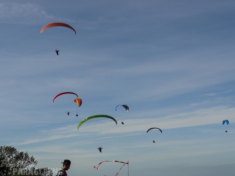 FA10.17 Algodonales-Paragliding-106