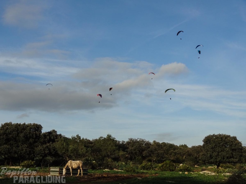 FA10.17 Algodonales-Paragliding-107