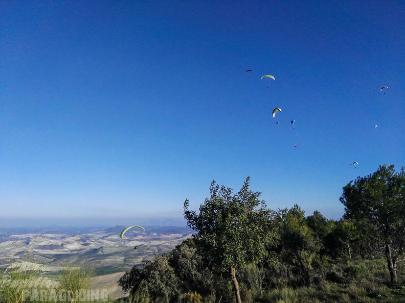 FA101.17 Algodonales-Paragliding-130