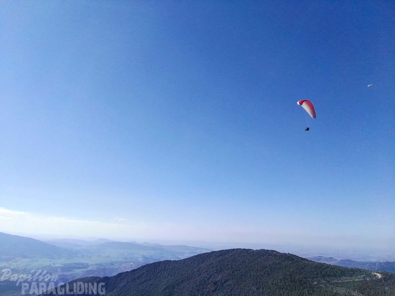 FA101.17 Algodonales-Paragliding-316