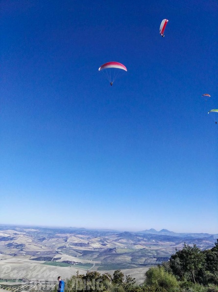 FA101.17 Algodonales-Paragliding-446