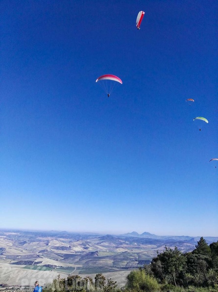FA101.17 Algodonales-Paragliding-447