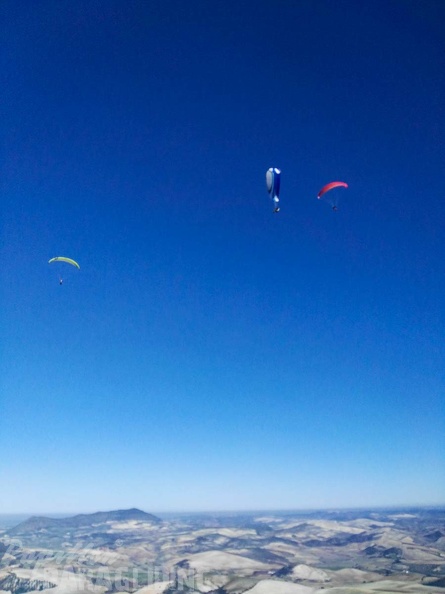 FA101.17 Algodonales-Paragliding-458