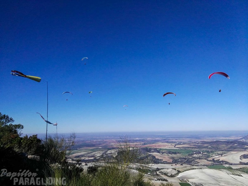 FA101.17 Algodonales-Paragliding-474