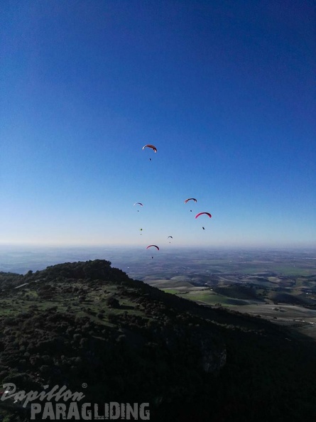FA101.17 Algodonales-Paragliding-498