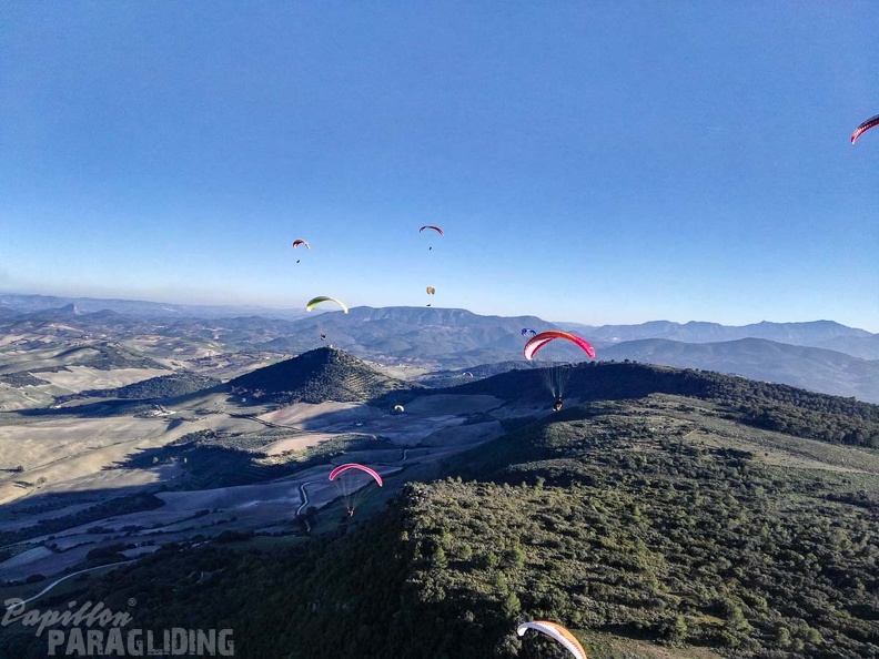 FA101.17 Algodonales-Paragliding-532