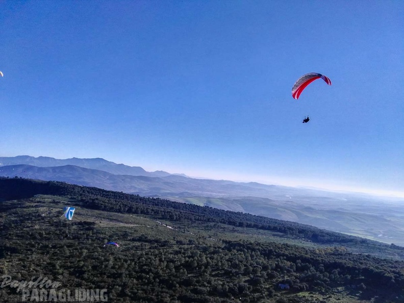 FA101.17 Algodonales-Paragliding-539