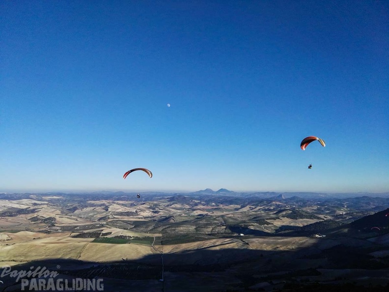 FA101.17 Algodonales-Paragliding-621