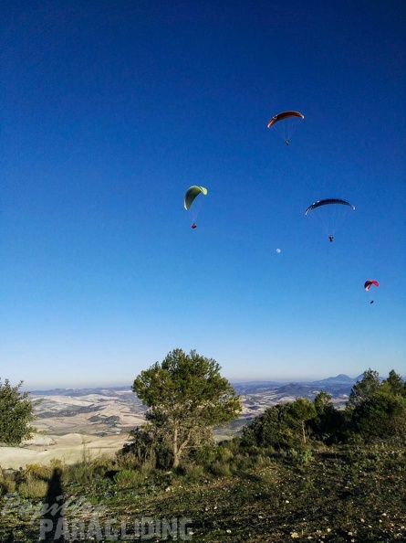 FA101.17 Algodonales-Paragliding-625