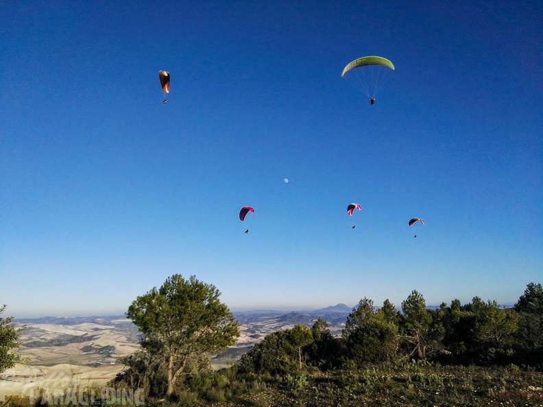 FA101.17 Algodonales-Paragliding-641