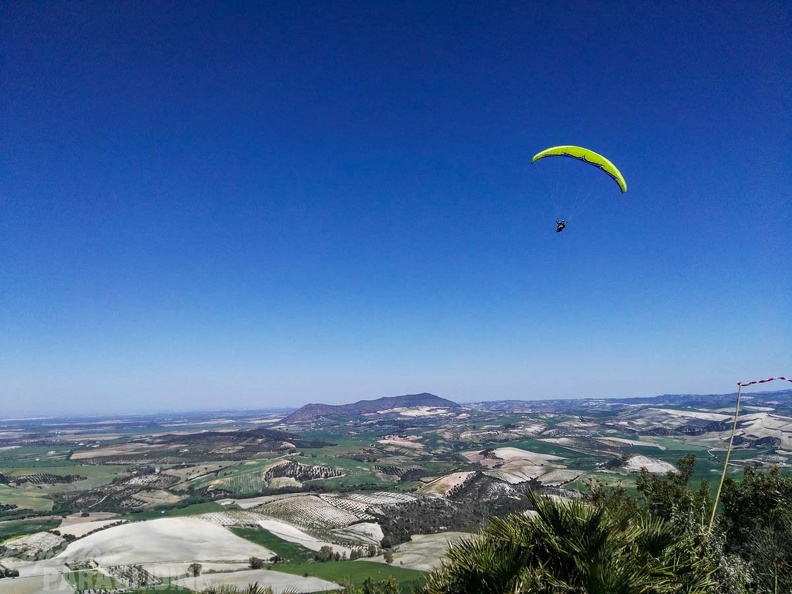 FA14.17 Algodonales-Paragliding-115