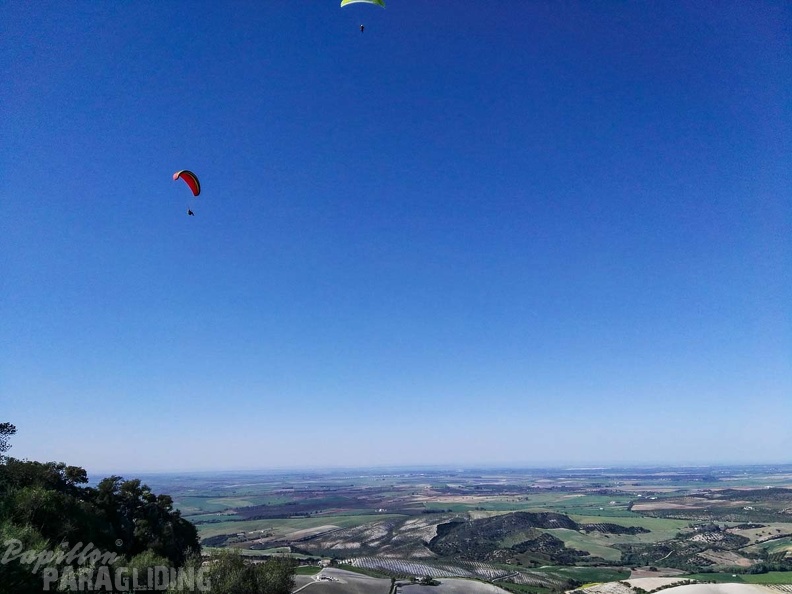 FA14.17 Algodonales-Paragliding-141