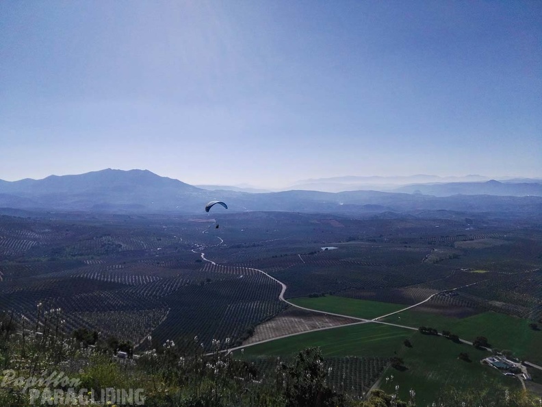 FA14.17 Algodonales-Paragliding-260