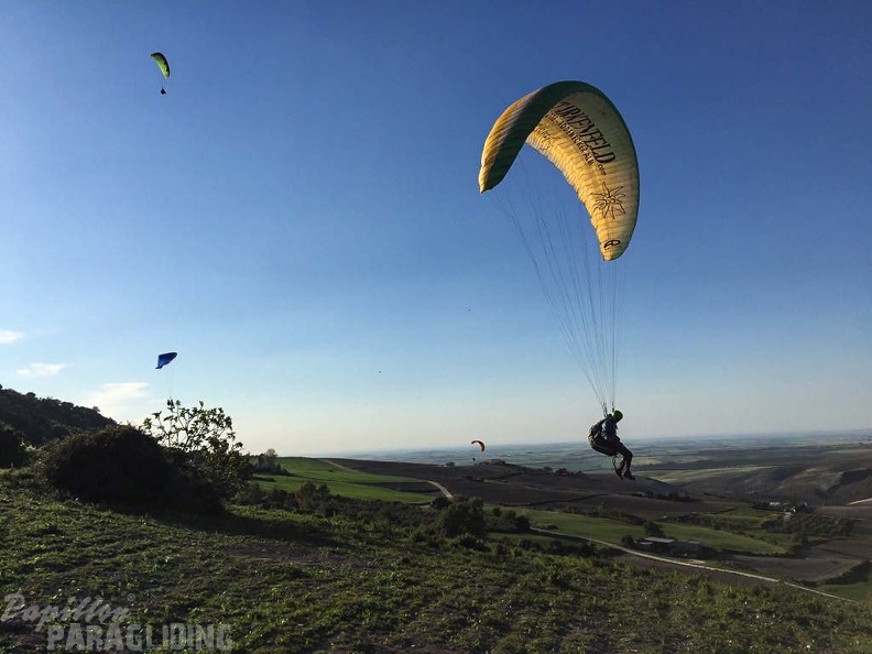 FA14.17 Algodonales-Paragliding-371