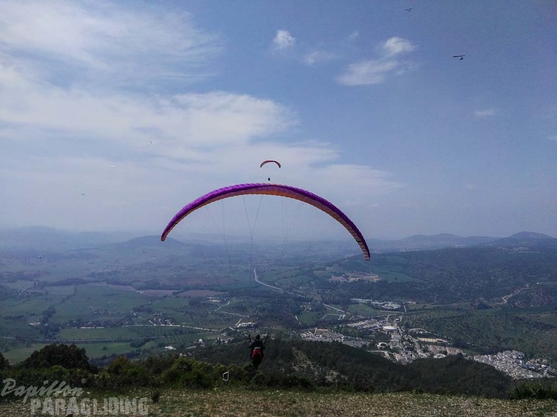 FA15.17 Algodonales-Paragliding-312