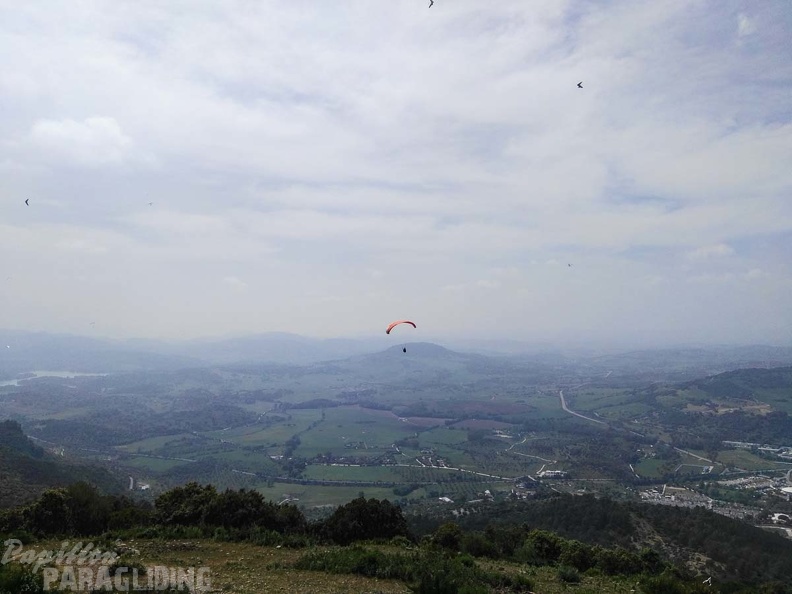 FA15.17 Algodonales-Paragliding-323