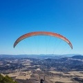 FA40.17 Algodonales-Paragliding-239