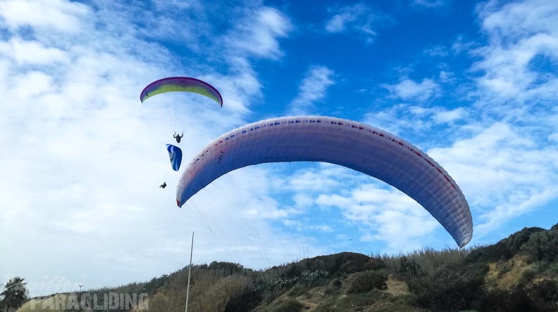 111_FA10.18_Algodonales_Papillon-Paragliding.jpg