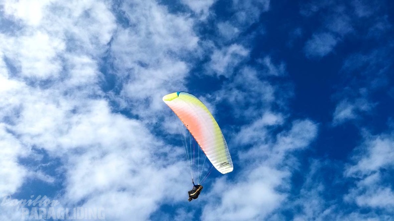 121_FA10.18_Algodonales_Papillon-Paragliding.jpg