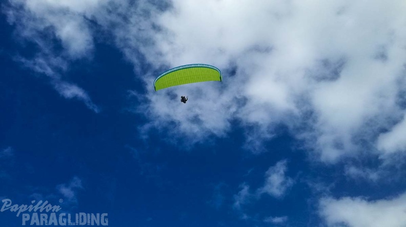 162_FA10.18_Algodonales_Papillon-Paragliding.jpg