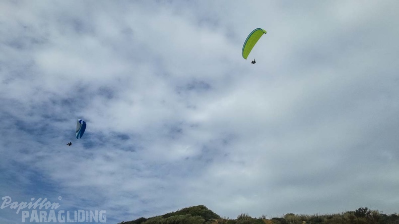 167_FA10.18_Algodonales_Papillon-Paragliding.jpg