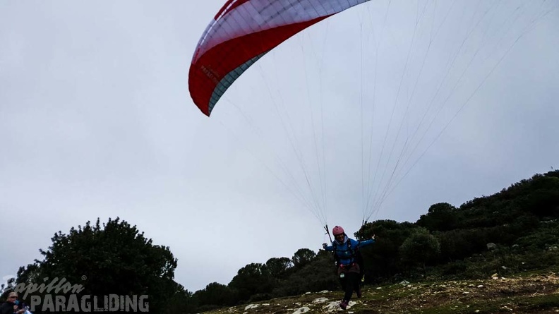 232_FA10.18_Algodonales_Papillon-Paragliding.jpg