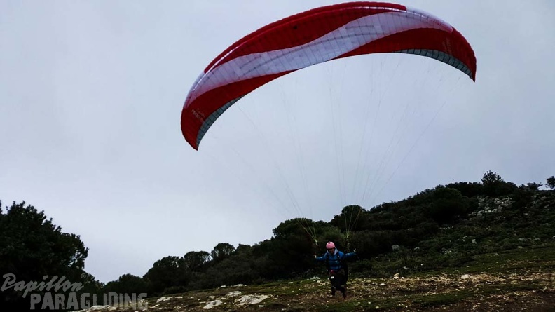 240_FA10.18_Algodonales_Papillon-Paragliding.jpg
