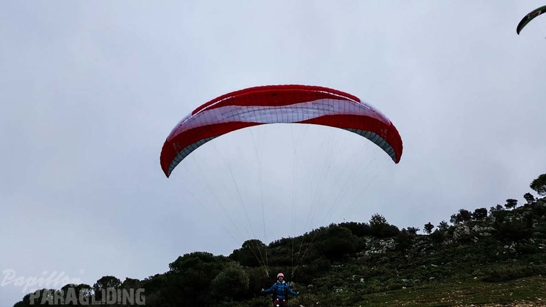 241_FA10.18_Algodonales_Papillon-Paragliding.jpg